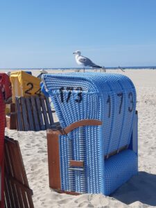 Möwe auf himmelblauem Strandkorb